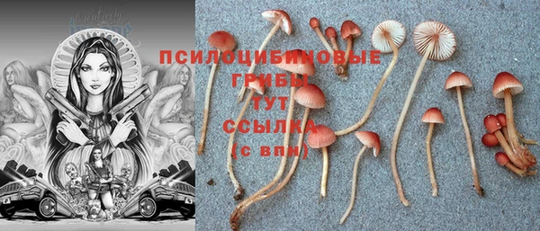 мяу мяу кристалл Алзамай