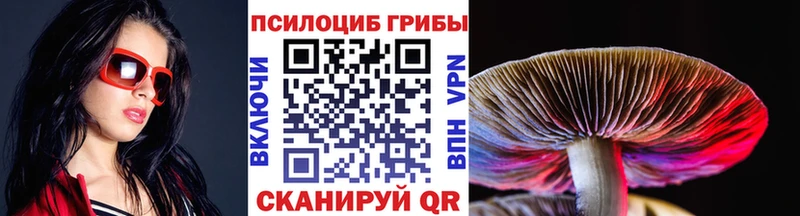 Галлюциногенные грибы мицелий  mega как зайти  Стародуб 